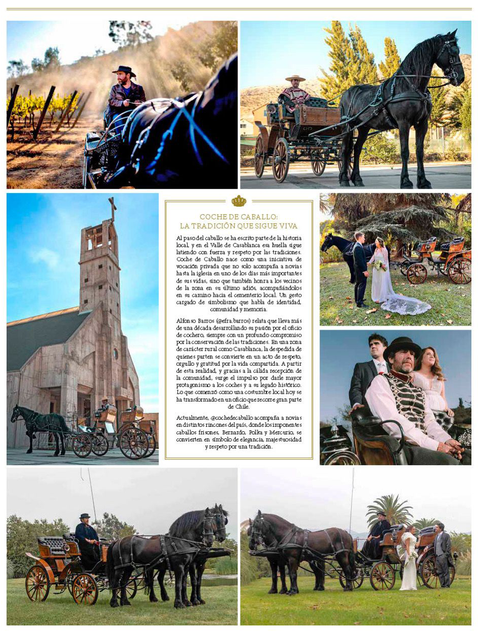 Coche de caballo