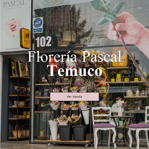 Pascal Flower Choc