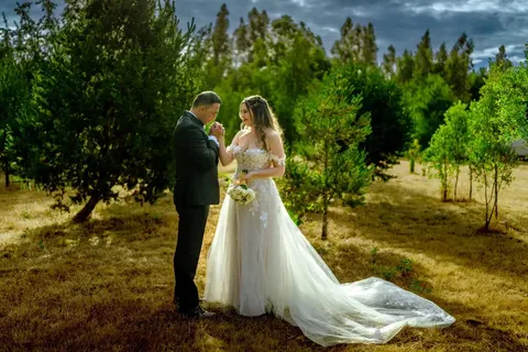 Ellena Vestidos