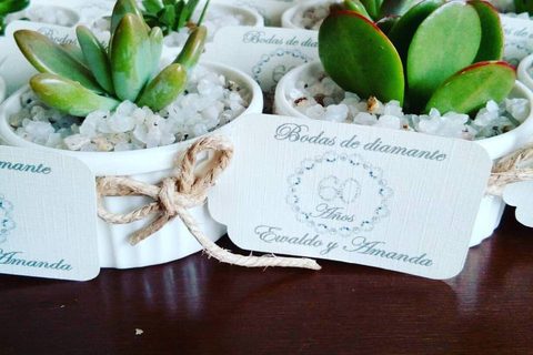 Miniplanta